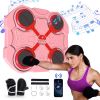 Fen Si Jian Music Boxing Target-Bluetooth Lithium Battery Charger