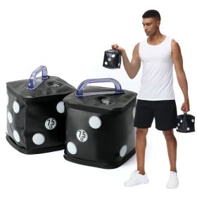 Travel Weight, Water Filled Dumbbells Set, Fitness Exercise Dice 15 lbs, for Strength Training, Core Training (black)