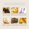 WoodSleep Scutellaria Sleep Essential Oil Eases Sleep, Relaxes And Comforts Portable Skin And Body Care Essential Oil