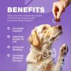 Dog Vitamins 15 in 1 Dog Multivitamin Chews with MSM for Hip & Joint Health Dog Supplement for Itchy Skin Relief Multivitamin for Dogs Immune Support