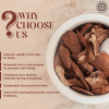 Pride Of India | Natural Arjuna Bark Whole 3.53 oz (100 gram) | Mix with warm water, milk | Prepare Tea, Smoothies, Juices | Vegan, Non-Bioengineered
