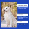 Yegbong Pet Dog Joint Supplement To Enhance Nutrition Care Joint Health Pet Joint Care Agent