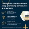 Slumber Shots - Sugar Free - Sleep Aid Gummies 12-Pack, Mango