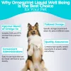 Welsdom OmegaVet Well Being Oil for Dogs & Cats – Omega-3 Fish Oil with DHA, EPA & Vitamins, 30 mL