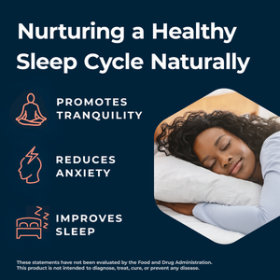 Slumber Shots - Melatonin Free - Sleep Aid Gummies 12-Pack, Wild Berry + Pineapple