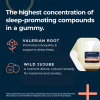 Slumber Shots - Melatonin Free - Sleep Aid Gummies 12-Pack, Wild Berry + Pineapple