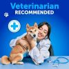 Dog Allergy Relief Chews